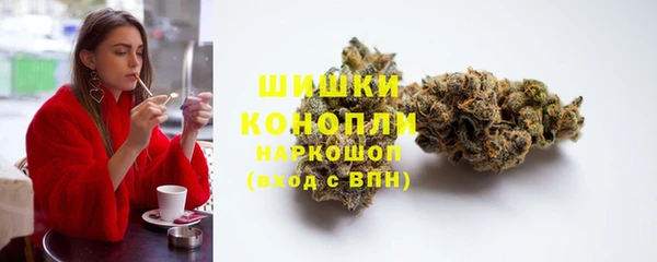 тгк Богородицк