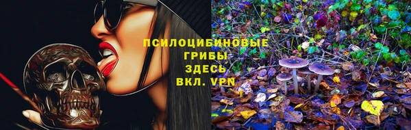амф Богородск