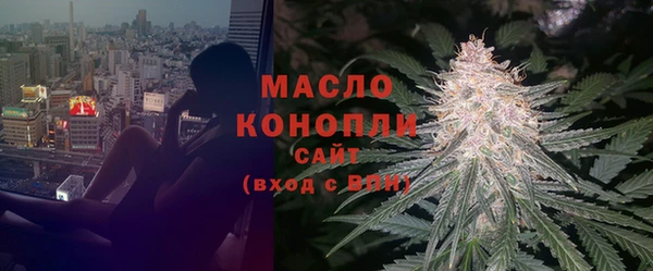 тгк Богородицк