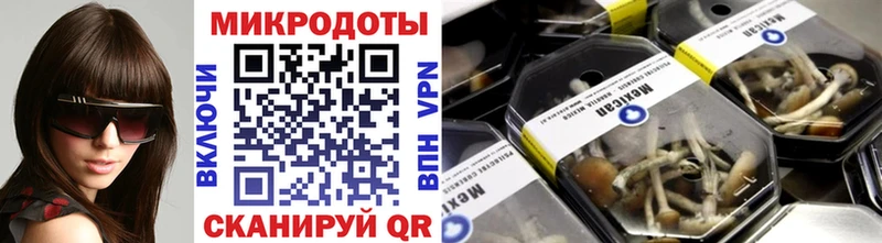 Галлюциногенные грибы Psilocybine cubensis  Волжский 